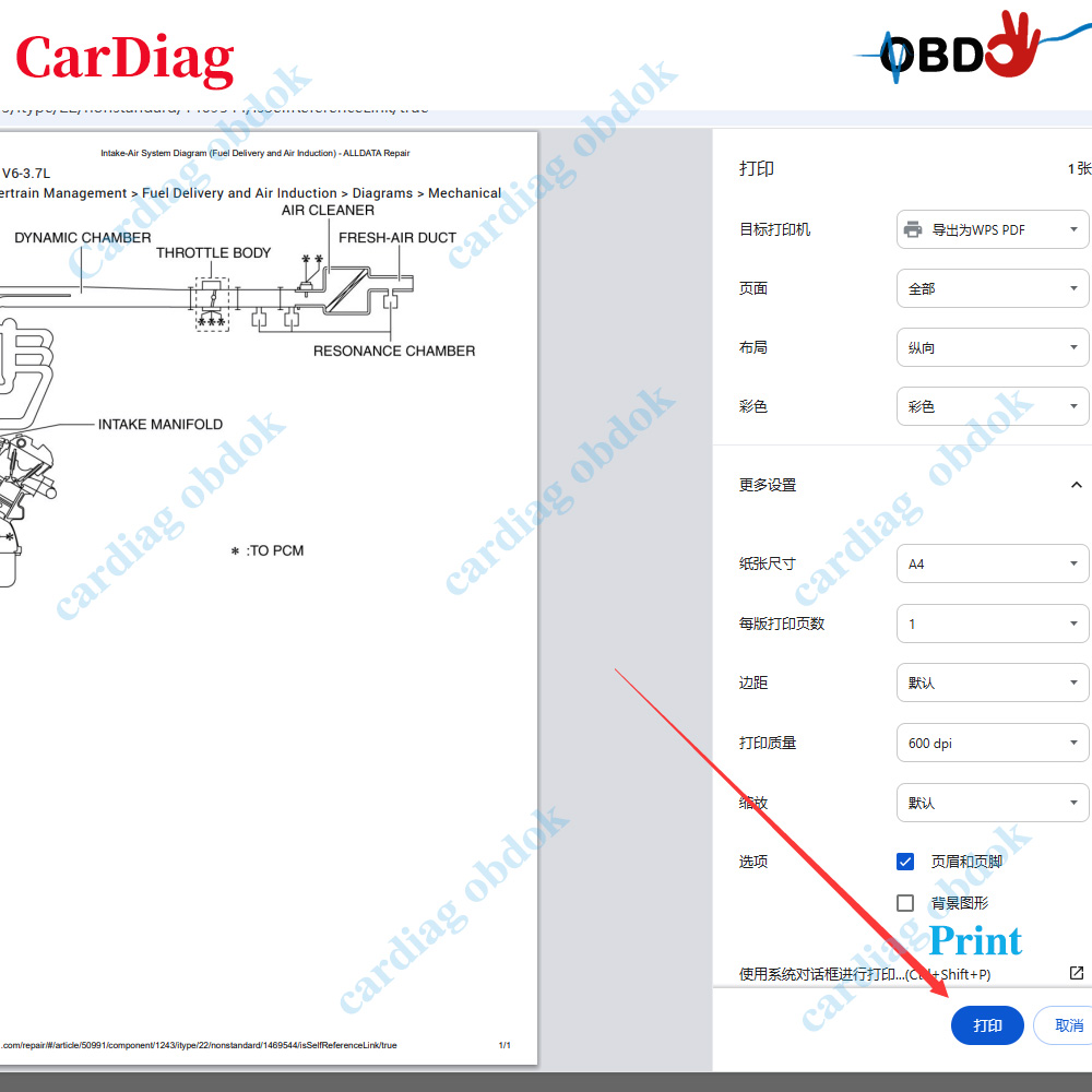 Oprogramowanie Alldata US Onli – Workshop Tools Diagram recenzja i cena